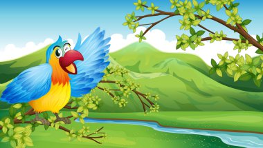 Nehri yakınında büyük ve renkli bir papağan