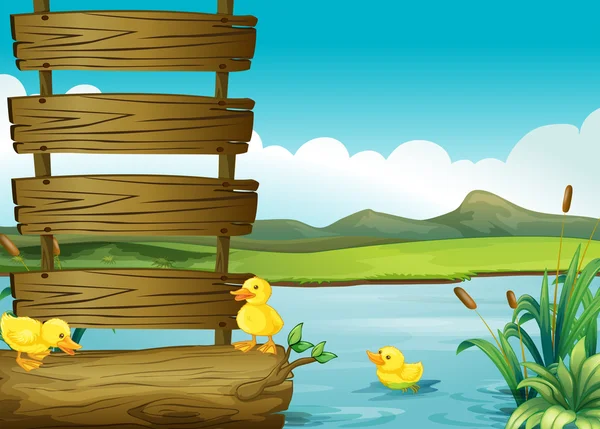 Patitos al lado de un letrero vacío en el río — Vector de stock