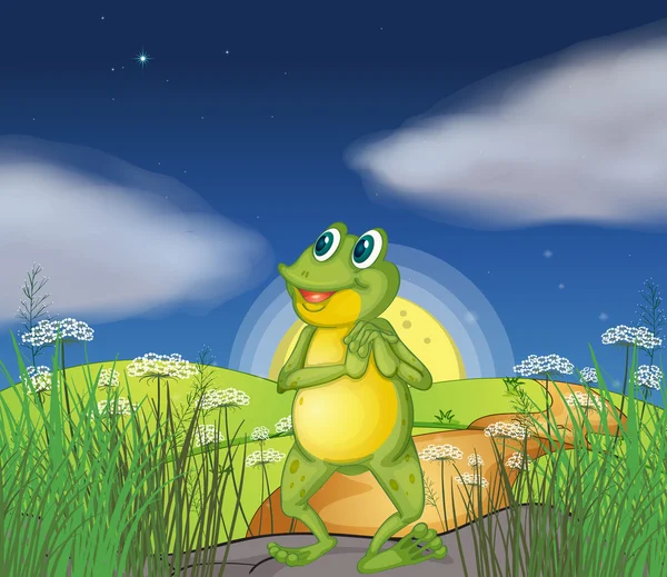 一只青蛙，看着明亮的星 — 图库矢量图片