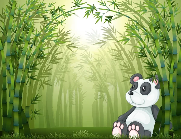 Um panda na floresta de bambu — Vetor de Stock