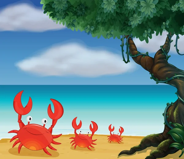 Trei crabi la malul mării — Vector de stoc
