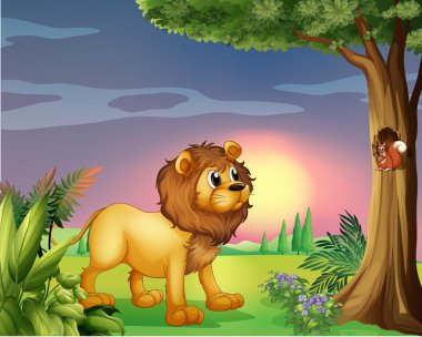 bir sincap izlerken aslan