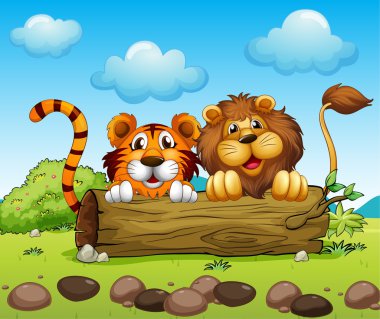 Aslan ve kaplan gizleme