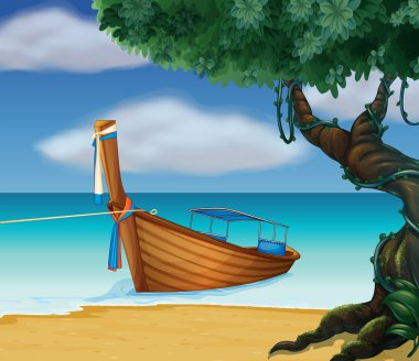 ahşap tekne, deniz kıyısı