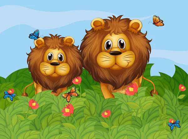 A big and a young lion in the garden — Stock Vector