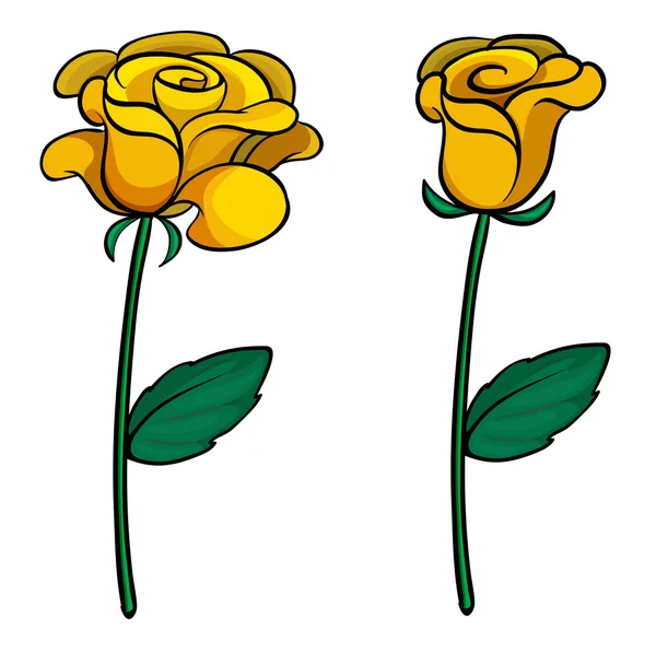 Two lovely flowers — Stock Vector