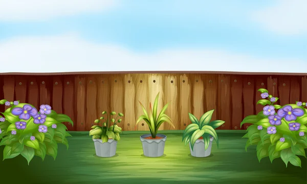 柵の中鍋で 3 つの植物 — ストックベクタ