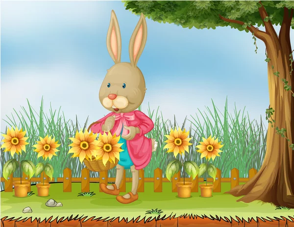 Tavşan ile ayçiçeği Bahçe — Stok Vektör