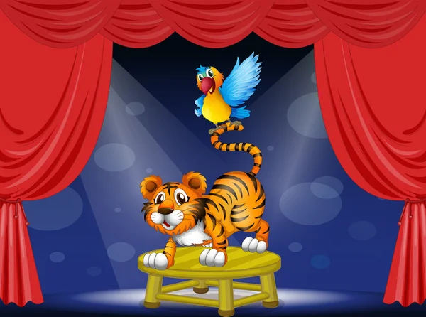 Тигр и разноцветный попугай выступают на сцене — стоковый вектор