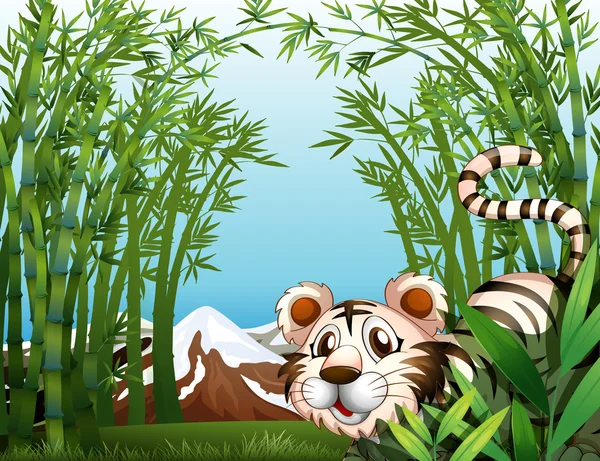 A tiger in a bamboo forest — Stock Vector