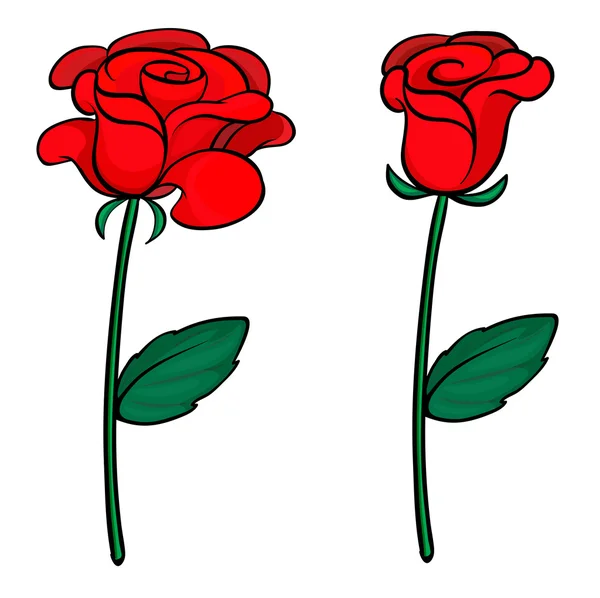 Dos rosas rojas — Vector de stock