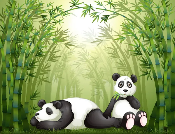 Dua panda di hutan bambu Stok Ilustrasi 