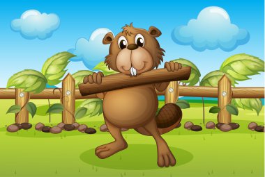 beaver içinde tutan bir ahşap bir çit