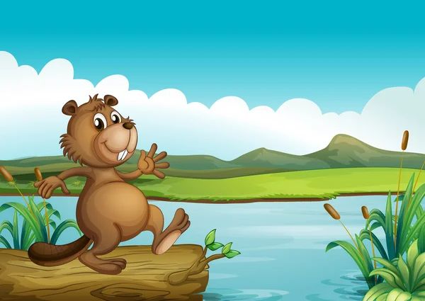 A beaver above a floating wood — Stock Vector