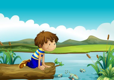 A young boy watching the fishes