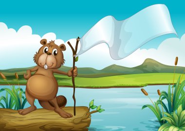 bir ahşap ile boş bir bayrak tutan bir kunduz