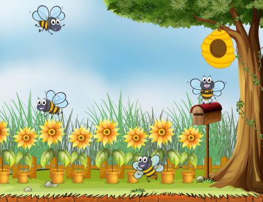 bahçede dört bees