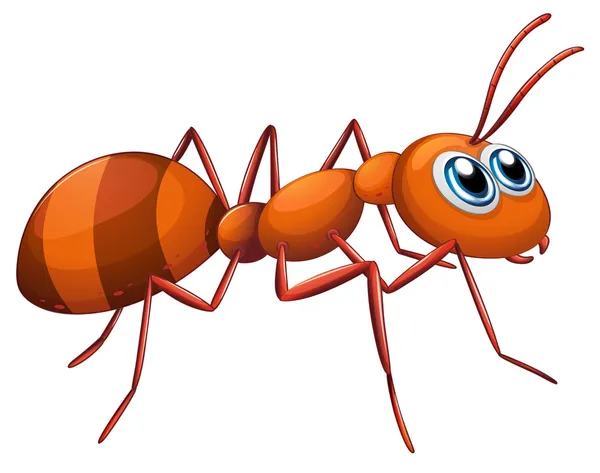 Een mier — Stockvector