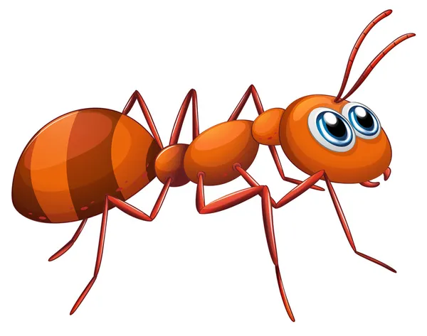 An ant — Stock Vector