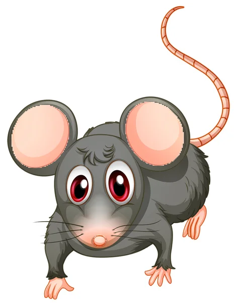 Une jeune souris — Image vectorielle