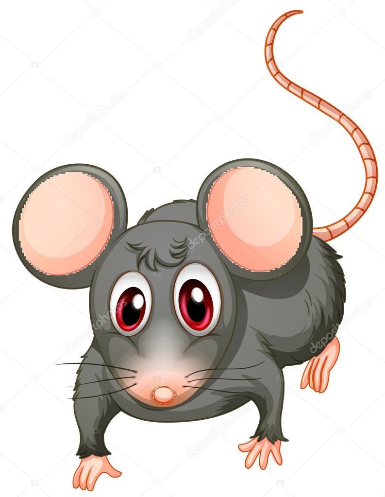 Молодая мышь — Вектор: изображение, рисунок © interactimages #20716985 ...