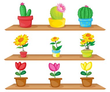 Wooden shelves with ornamental plants clipart