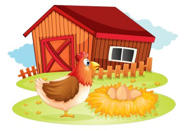 tavuk ve yumurtalarını arka bahçe
