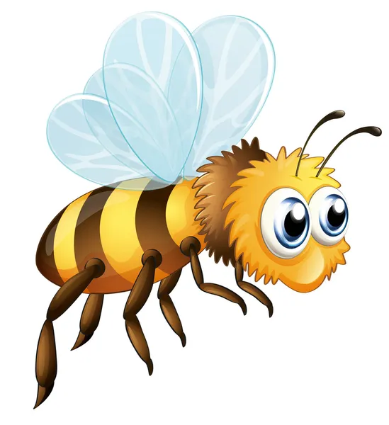 A big bee — Stock Vector