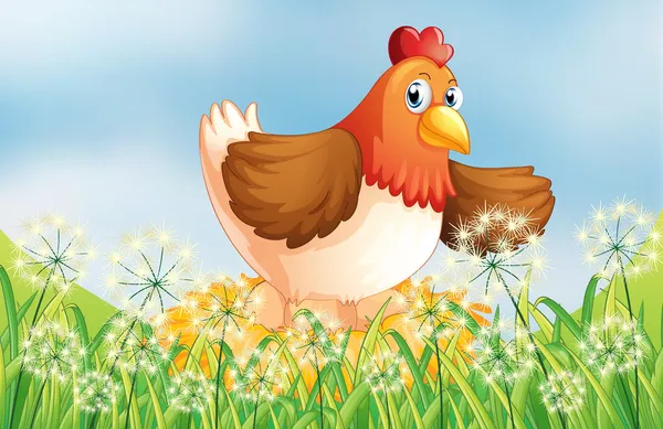 Una gallina poniendo huevos — Archivo Imágenes Vectoriales