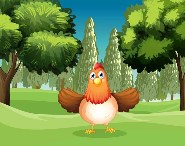 A hen at the park — Stock Vector