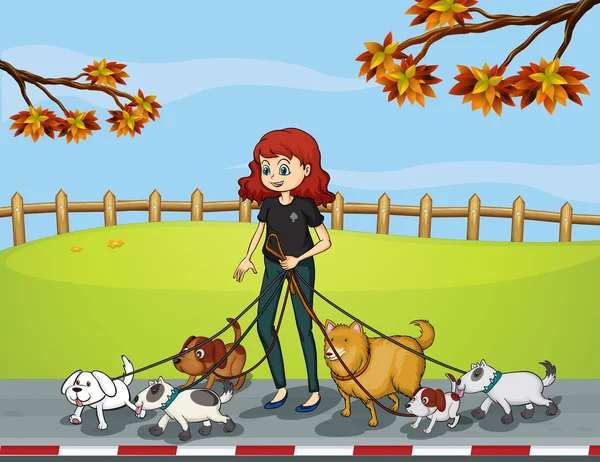 그녀의 애완 동물과 함께 산책 공원에서 여자 — 스톡 벡터