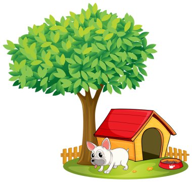 Beyaz bir köpek