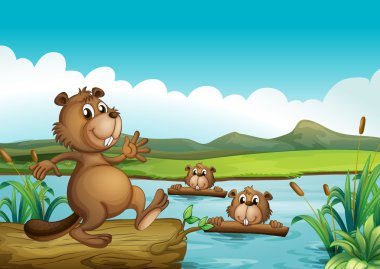 Kunduzlar nehrin woods ile oynamak
