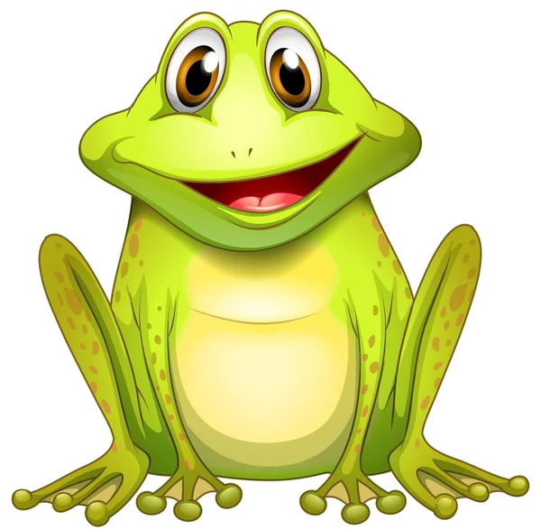 A smiling frog — Stock Vector