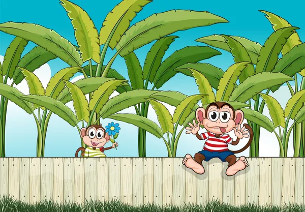 Deux singes jouant à la clôture — Image vectorielle