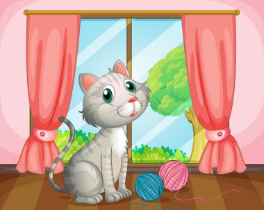 Pencerenin yanında bir kedi