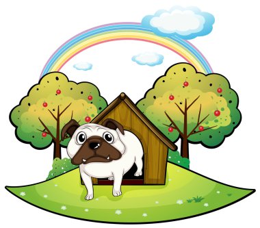 bir köpek bir köpek kulübesi içinde