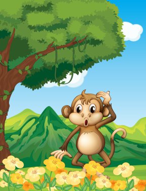 dağın yakınında bir maymun