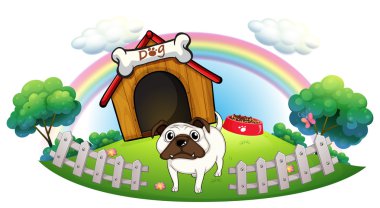 bir köpek bir köpek kulübesi ile