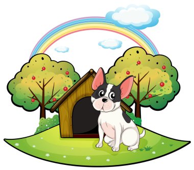 bir köpek bir köpek evi yanında