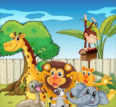 farklı hayvan türleri