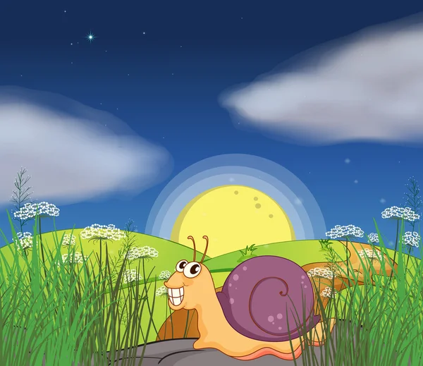 A snail at the road — Stock Vector