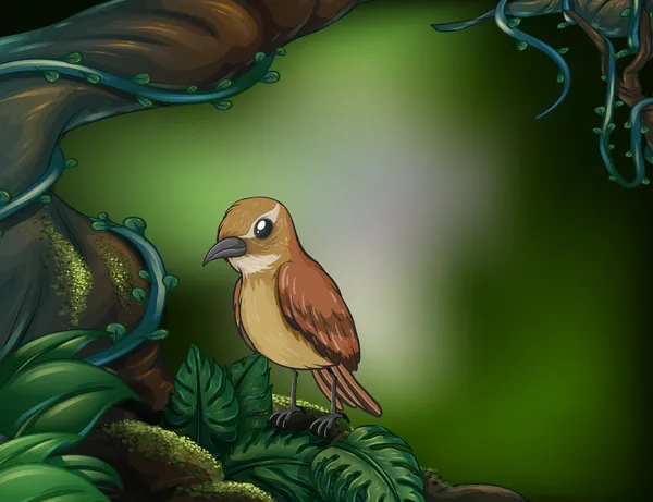 Un pájaro en la selva — Archivo Imágenes Vectoriales
