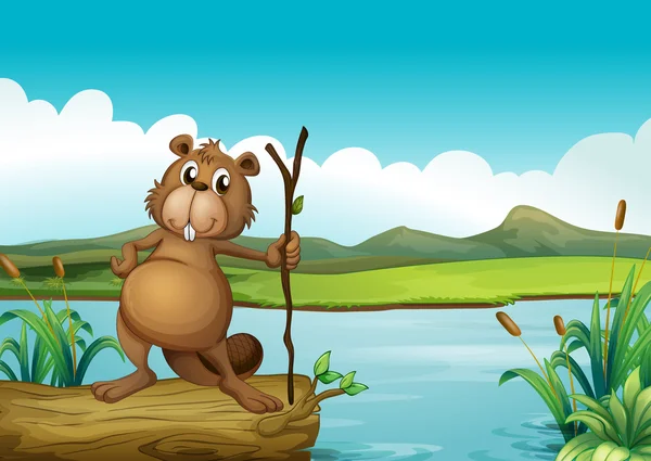 A beaver at the river — Stock Vector