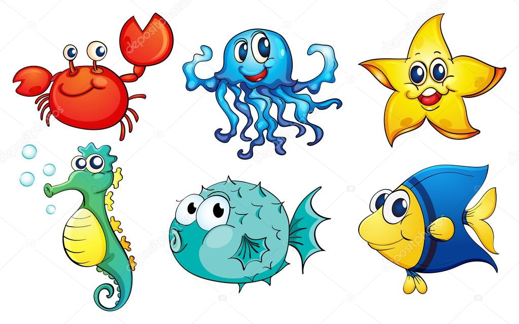 The different sea creatures — Stock Vector © interactimages #21164075