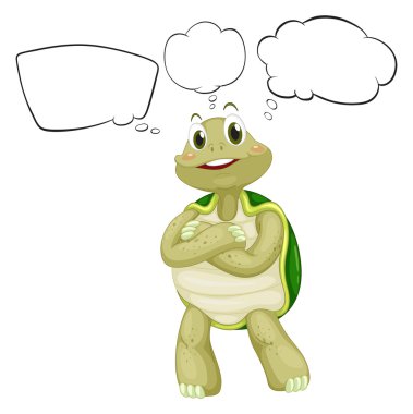 düşünme kaplumbağa