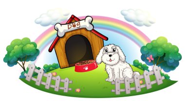 bir köpek bir köpek evde çit ile