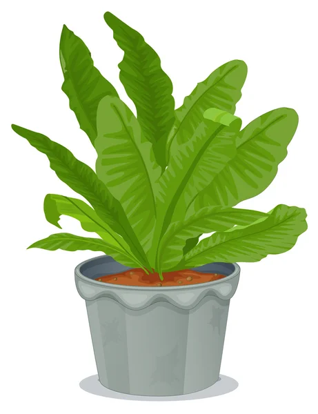 Eine Pflanze in einem grauen Topf — Stockvektor