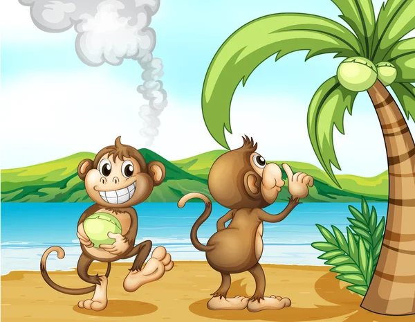 Twee aapjes op het strand — Stockvector
