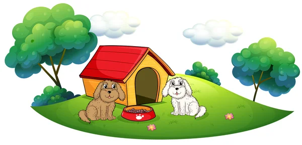 An island with a doghouse and two puppies — Stock Vector